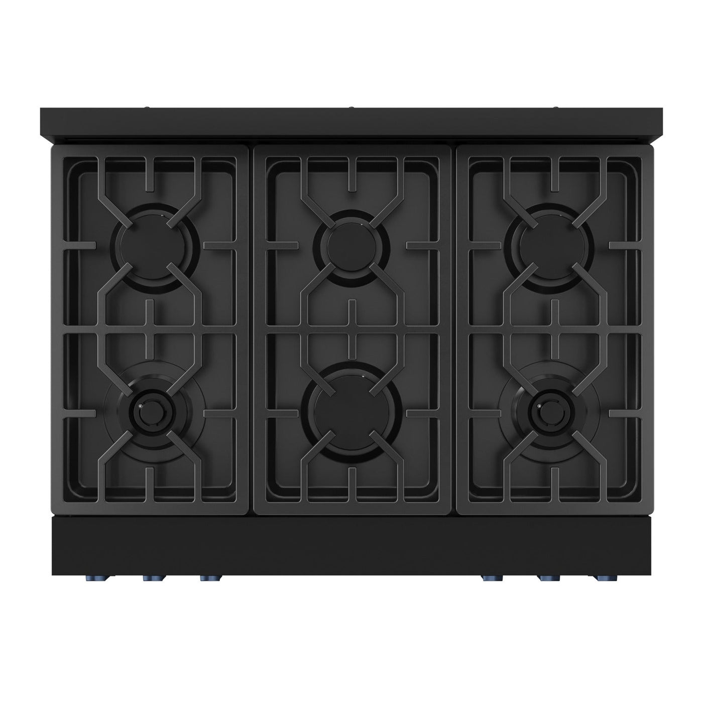Thor Kitchen Black Stainless Steel Freestanding Professional Liquid Propane Gas Range|Gordon Ramsay Series (6 cu.ft.) - RSG36BLP-BLU