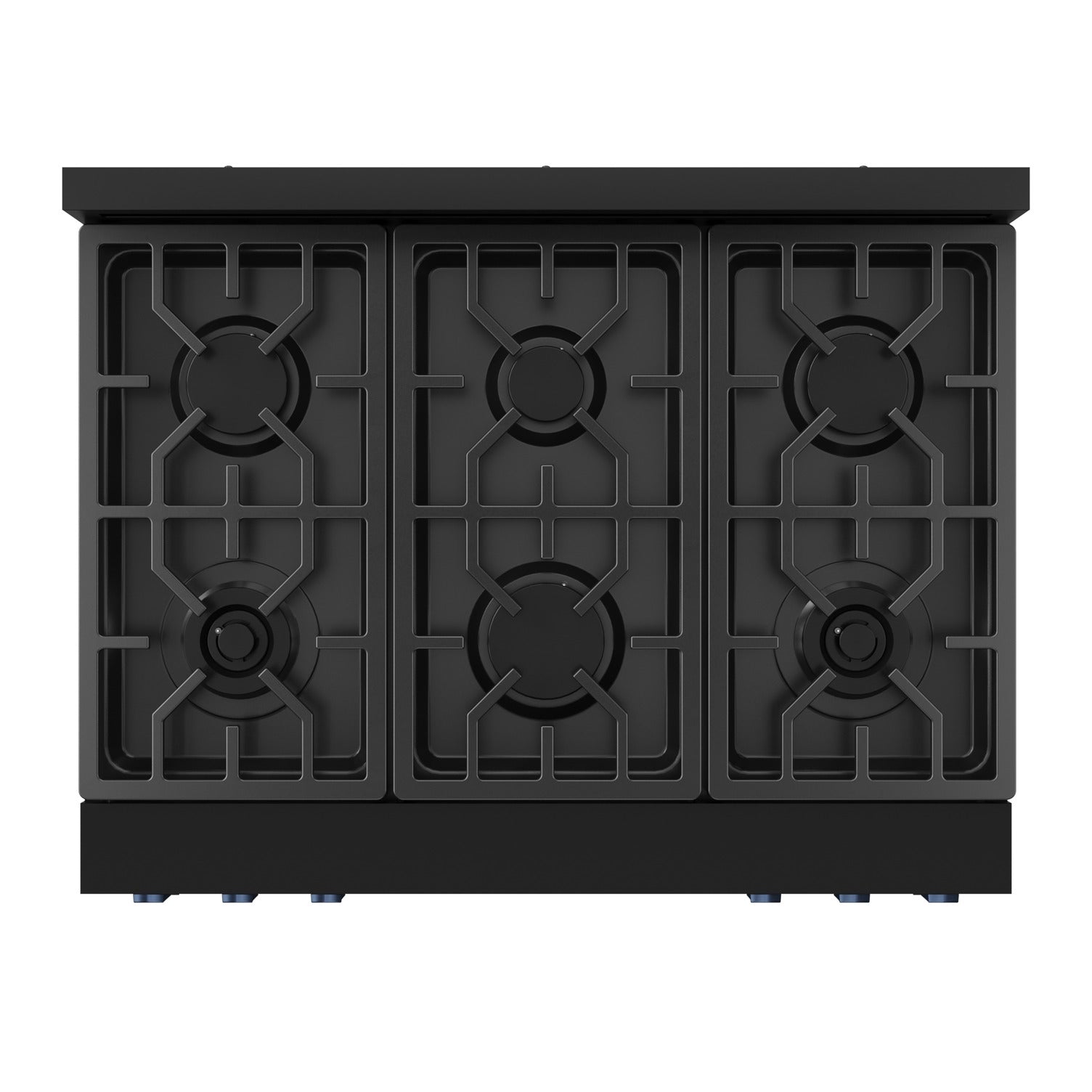 Thor Kitchen Black Stainless Steel Freestanding Professional Liquid Propane Gas Range|Gordon Ramsay Series (6 cu.ft.) - RSG36BLP-BLU