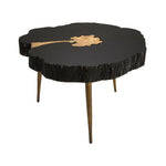 Taaibos Coffee Table - Black/Brass