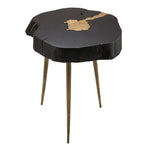 Taaibos Accent Table - Black/Brass