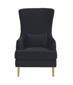 Killarney Velvet Accent Chair - Black