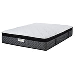 Kingsdown Gallery Plush Queen Mattress