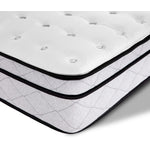 Sealy® Essentials Prodigy Medium Mattress Collection