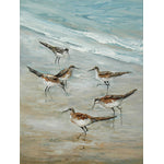 Beach Birds Canvas Print (36" X 48")