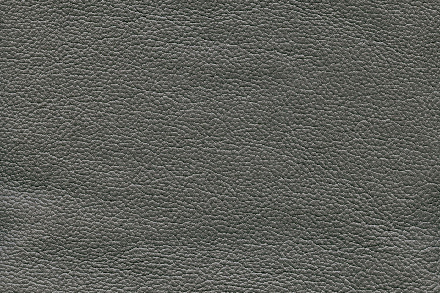 Reynolds Leather Loveseat - Dark Grey