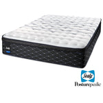 Sealy Entity Firm Queen Mattress