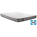 Sealy Notion Firm Queen Mattress