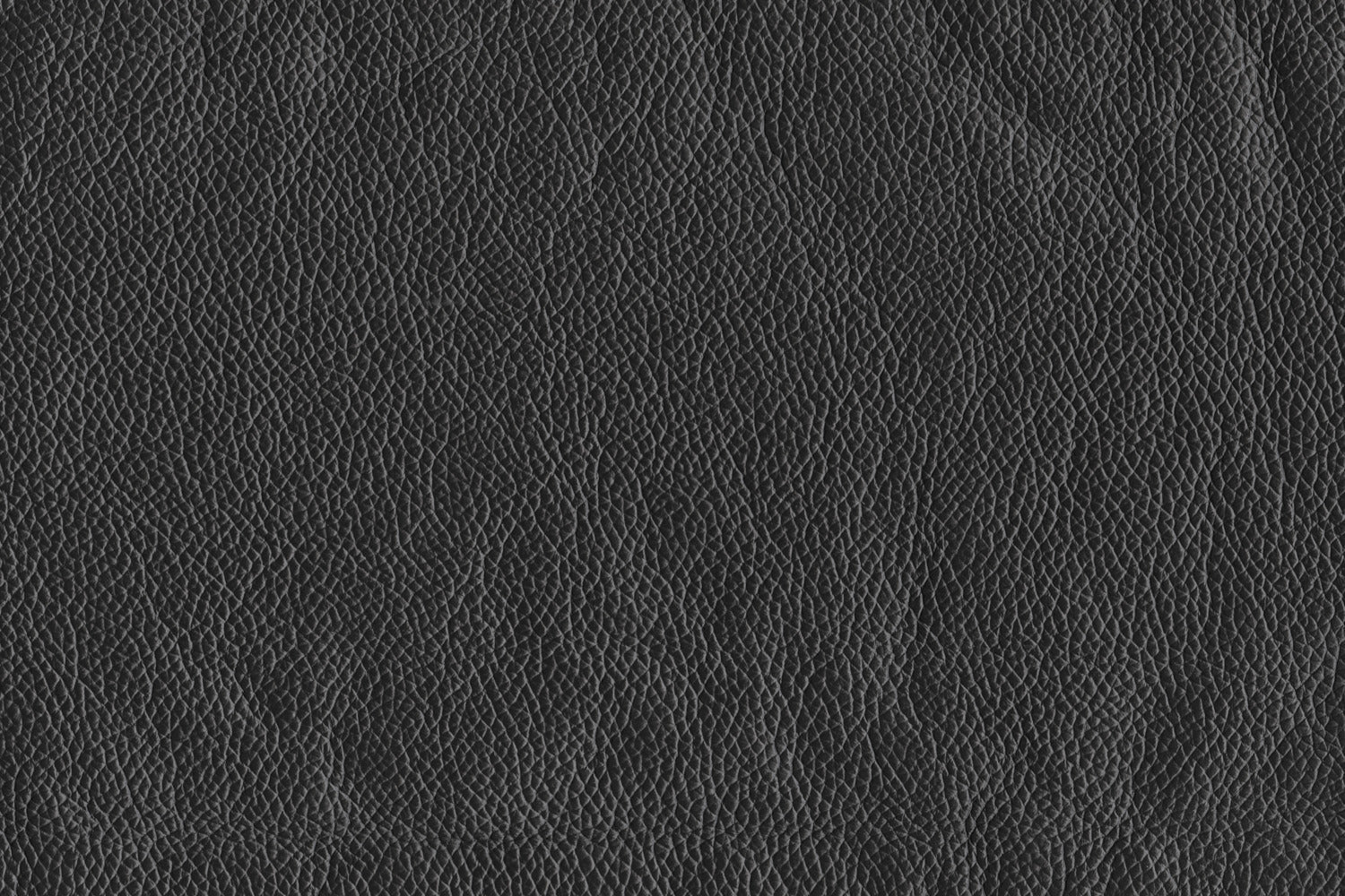Braylon Loveseat - Classic Black