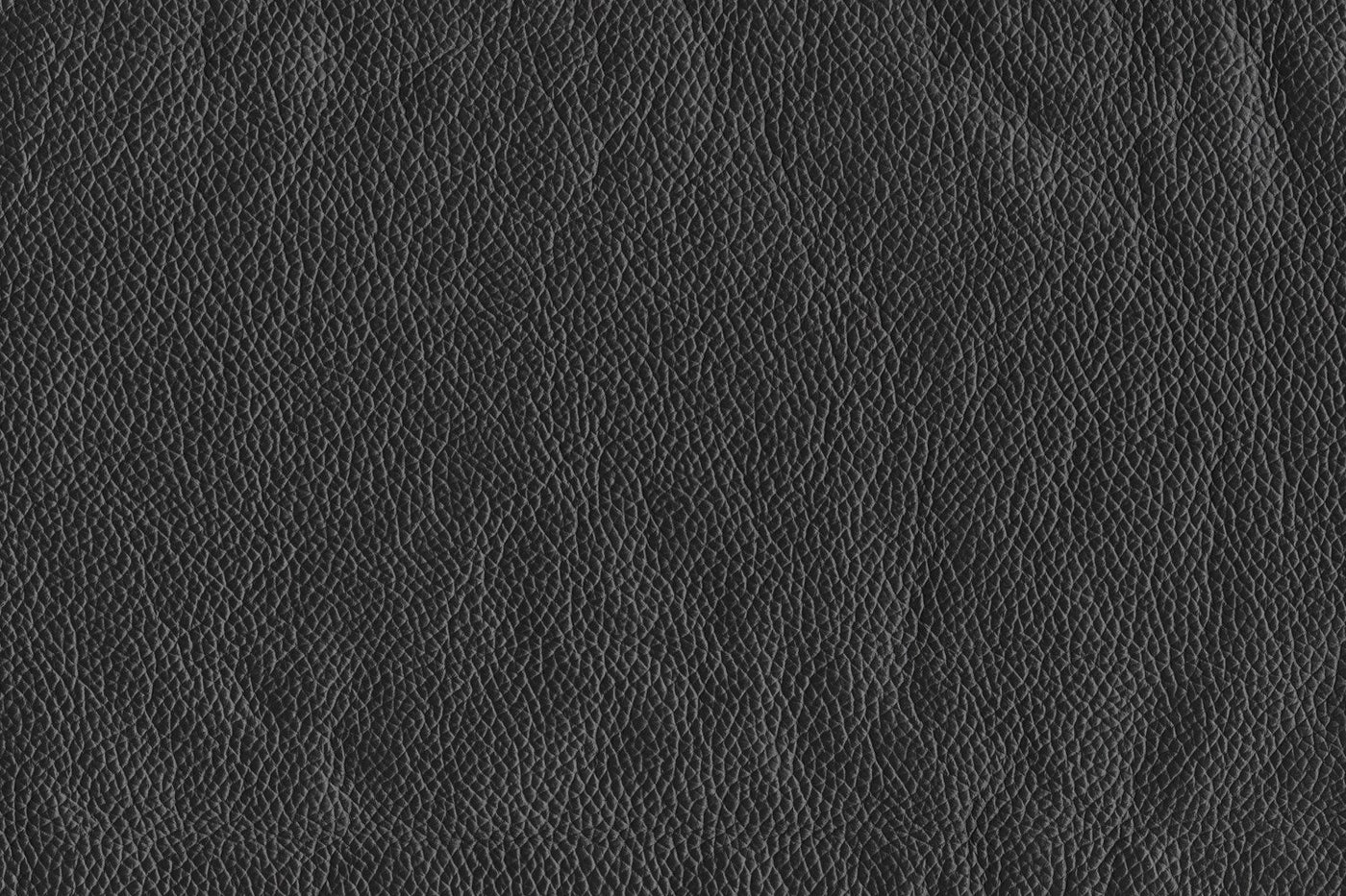 Braylon Sofa - Classic Black - Clearance