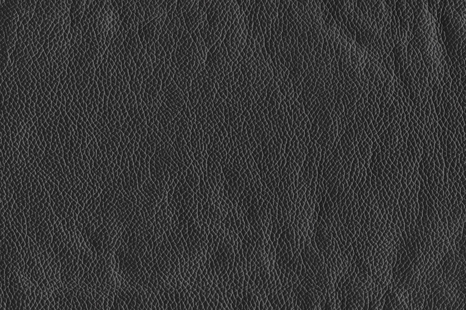 Braylon Sofa - Classic Black - Clearance