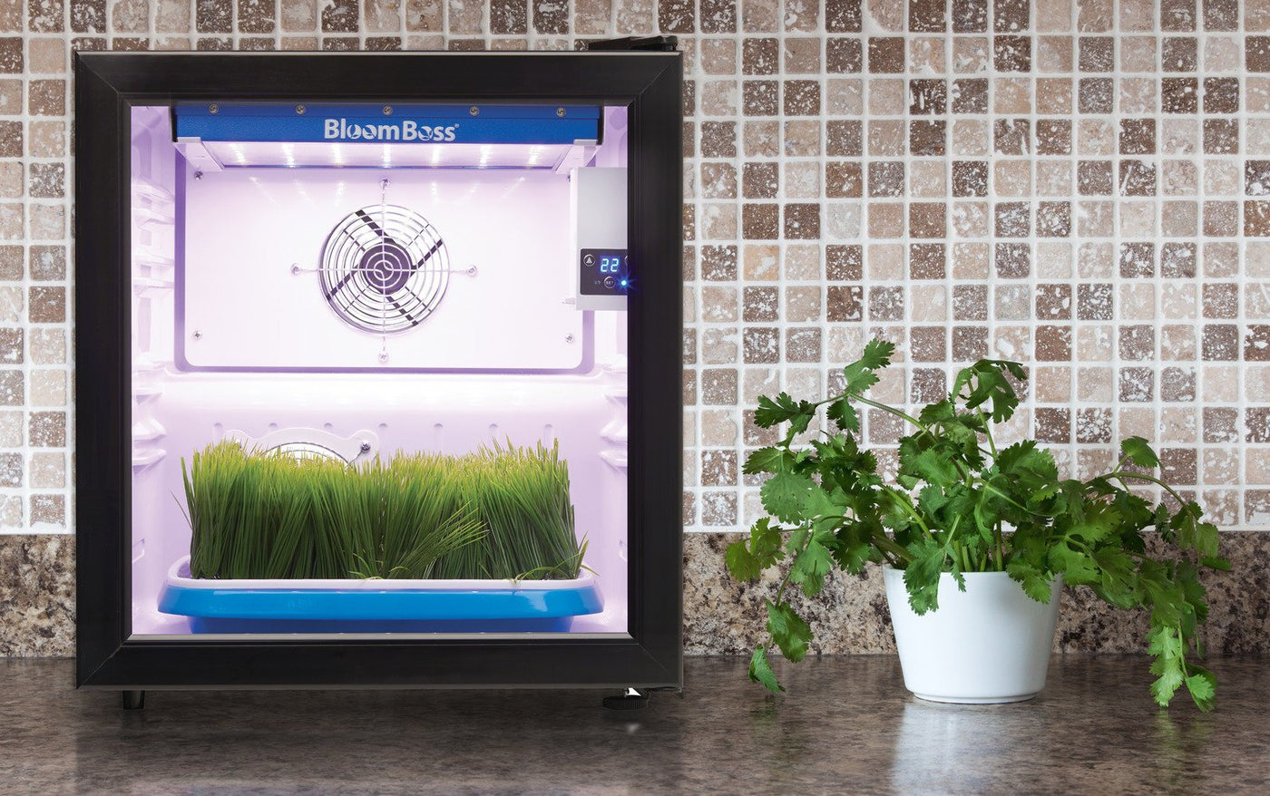 Danby Black Countertop Herb Grower (1.7 Cu. Ft) - DFG17A1B