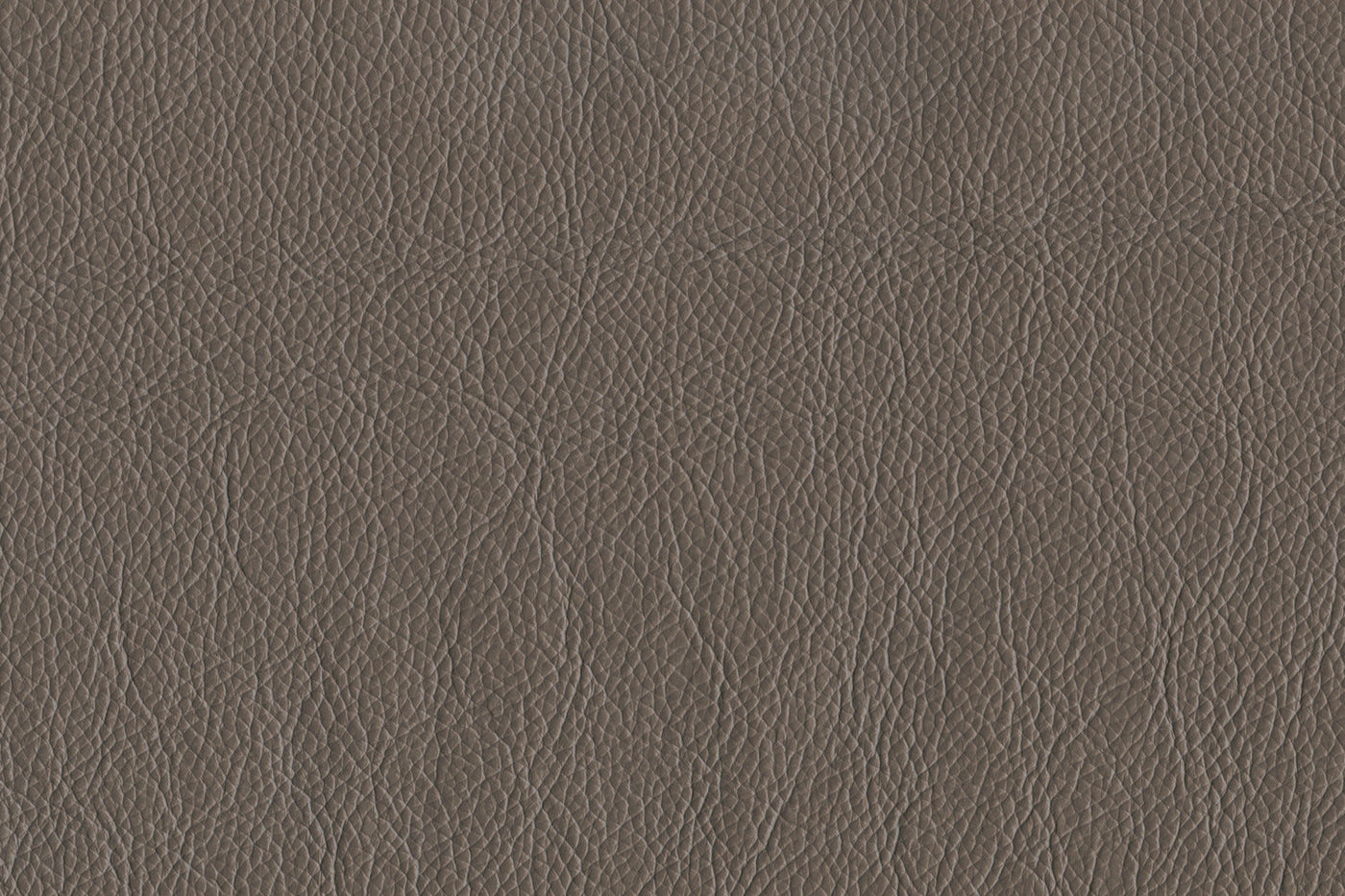 Braylon Leather Sofa - African Grey