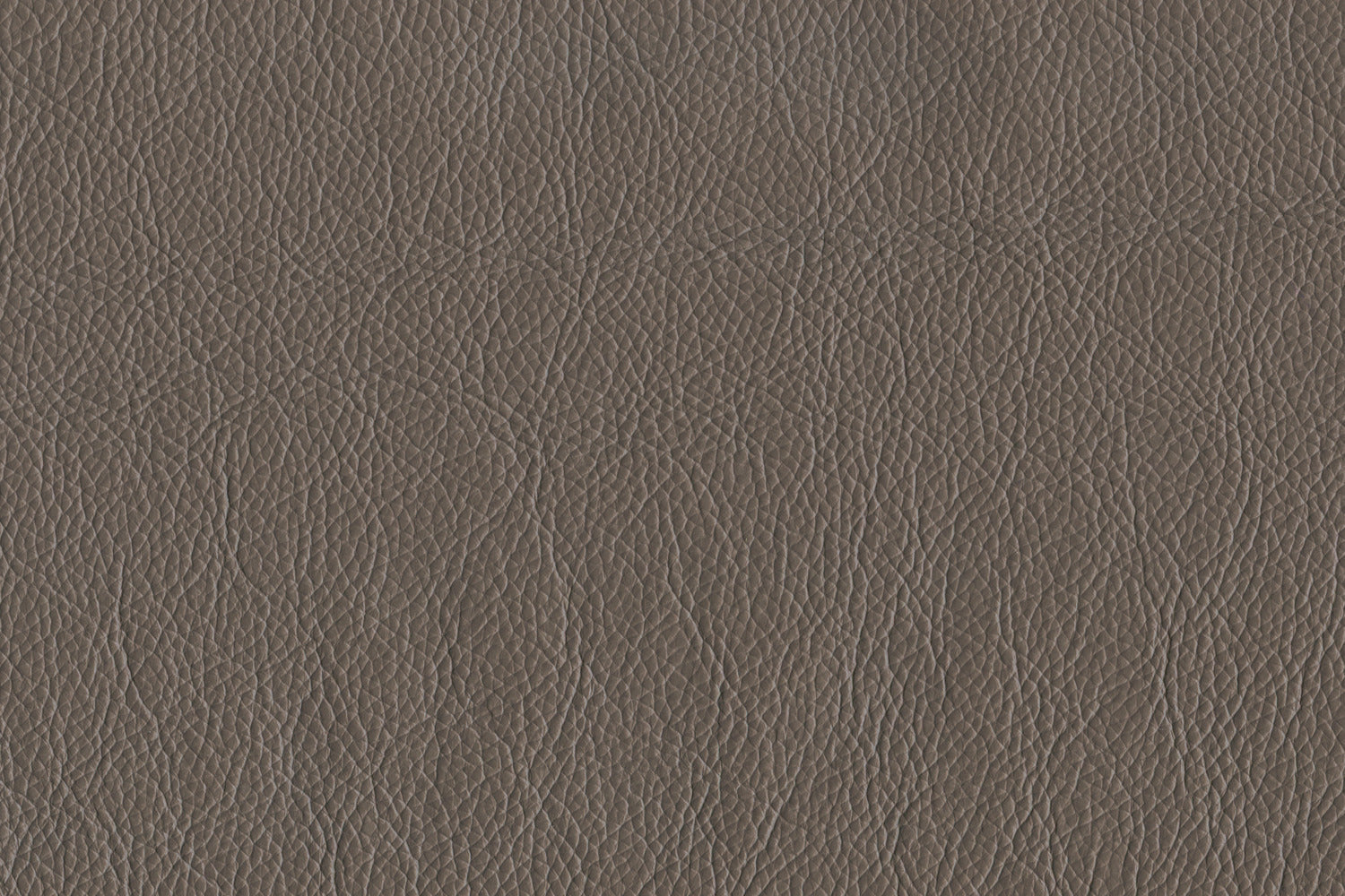 Braylon Leather Chair - African Grey