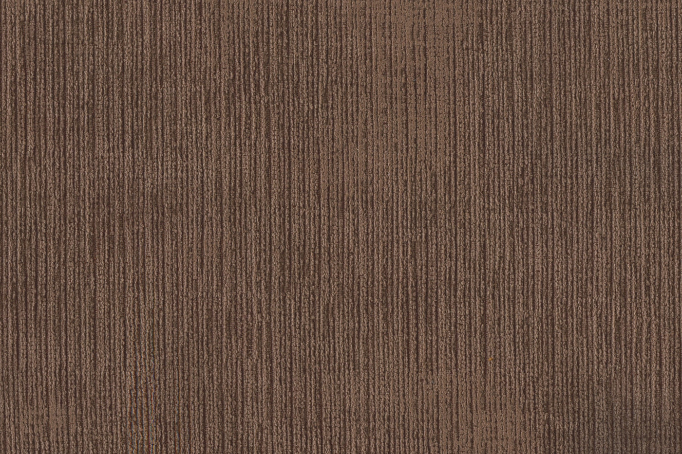 Crizia Loveseat - Coffee