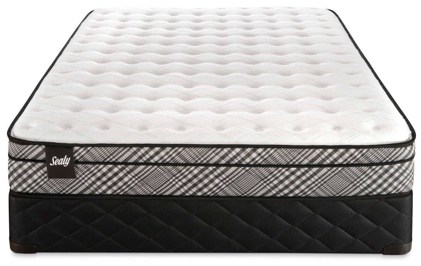 Sealy Visual Cushion Firm Twin Mattress and Boxspring Set