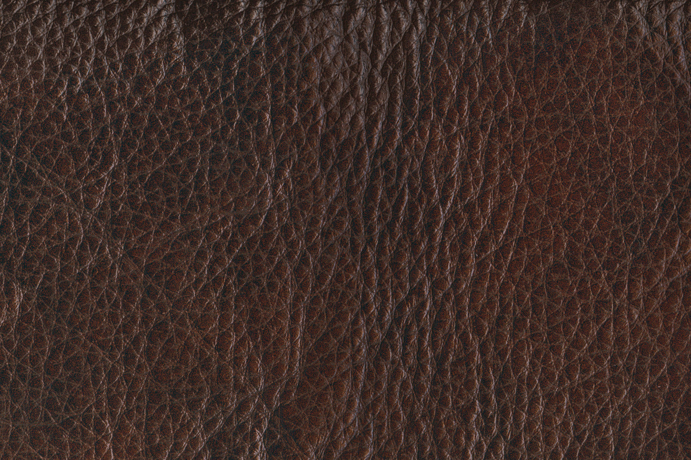 Stampede Leather Loveseat - Coffee