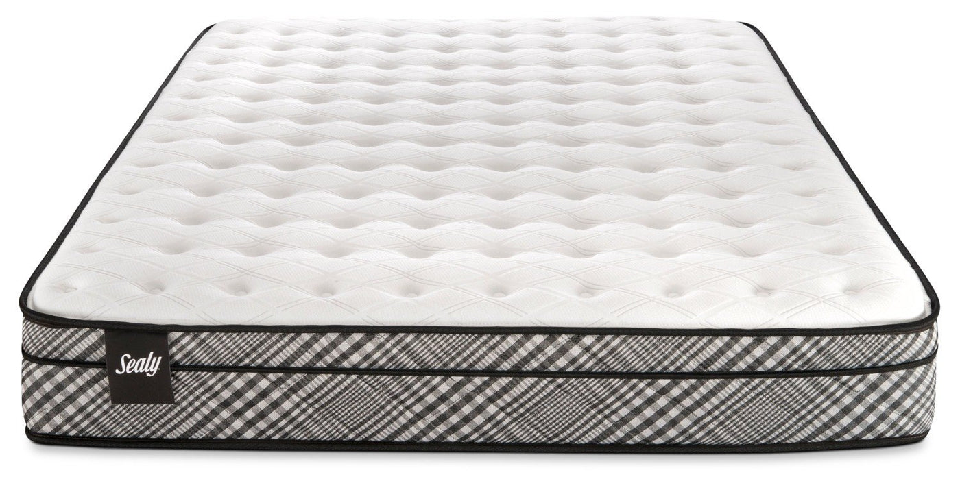 Sealy Visual Cushion Firm Twin Mattress
