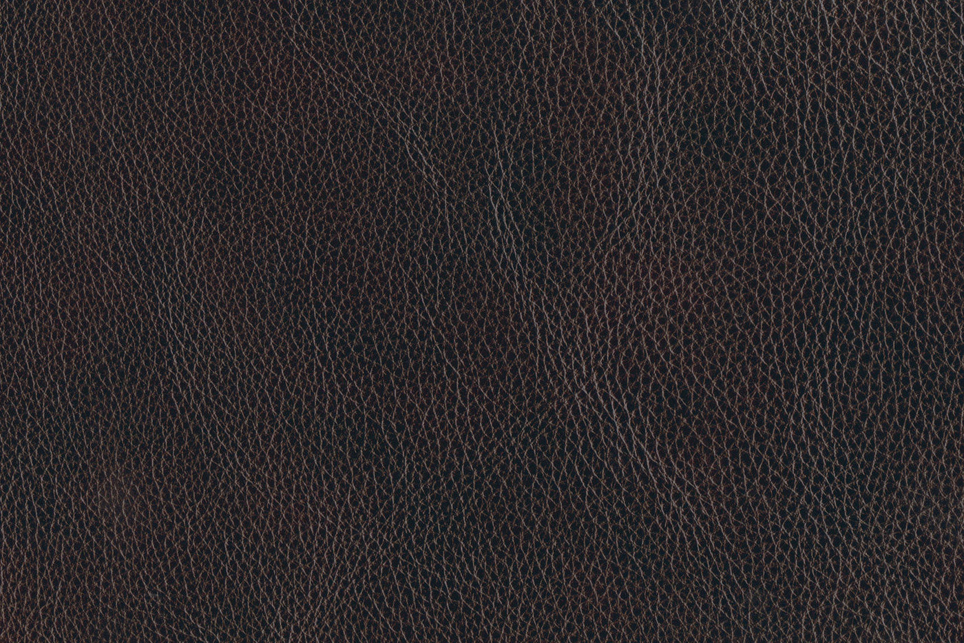 Dearborn Power Reclining Sofa and Recliner Set - Blackberry