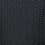 Rosthern Outdoor Dining Chair - Black - Set of 2