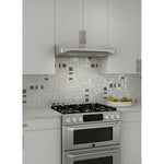 Broan Stainless Steel 36" 450 MAX CFM Under-Cabinet Range Hood - ALT336SS