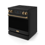 Thor Kitchen Black Stainless Steel Freestanding Professional Electric Range|Gordon Ramsay Series (4.55 cu.ft.) - RSE30B-BRZ