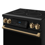 Thor Kitchen Black Stainless Steel Freestanding Professional Electric Range|Gordon Ramsay Series (4.55 cu.ft.) - RSE30B-BRZ