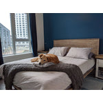 Abenra King Bed - Grey Wash