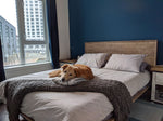 Abenra Queen Bed - Grey Wash