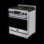 Thor Kitchen Stainless Steel Freestanding Professional Liquid Propane Gas Range|Gordon Ramsay Series (4.55 cu.ft.) - RSG30LP-BLU
