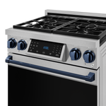 Thor Kitchen Stainless Steel Freestanding Professional Gas Range|Gordon Ramsay Series (4.55 cu.ft.) - RSG30-BLU