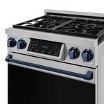 Thor Kitchen Stainless Steel Freestanding Professional Gas Range|Gordon Ramsay Series (4.55 cu.ft.) - RSG30-BLU