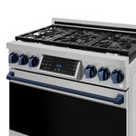 Thor Kitchen Stainless Steel Freestanding Professional Liquid Propane Gas Range|Gordon Ramsay Series (6 cu.ft.) - RSG36LP-BLU