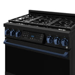 Thor Kitchen Black Stainless Steel Freestanding Professional Liquid Propane Gas Range|Gordon Ramsay Series (6 cu.ft.) - RSG36BLP-BLU