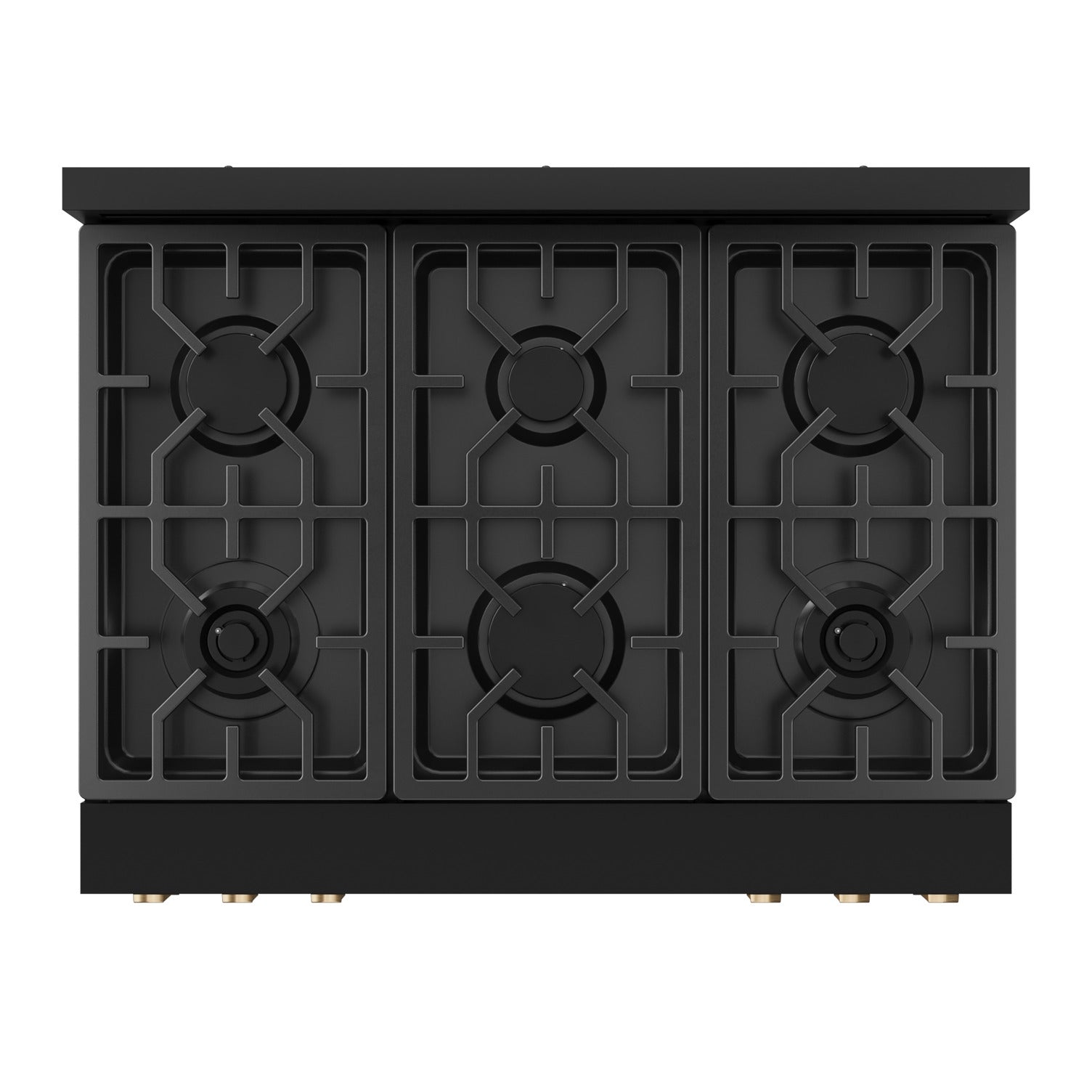 Thor Kitchen Black Stainless Steel Freestanding Professional Liquid Propane Gas Range|Gordon Ramsay Series (6 cu.ft.) - RSG36BLP-BRZ