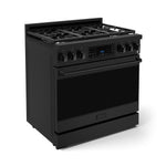 Thor Kitchen Black Stainless Steel Freestanding Professional Gas Range|Gordon Ramsay Series (6 cu.ft.) - RSG36B
