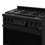 Thor Kitchen Black Stainless Steel Freestanding Professional Liquid Propane Gas Range|Gordon Ramsay Series (6 cu.ft.) - RSG36BLP