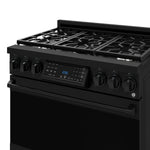 Thor Kitchen Black Stainless Steel Freestanding Professional Gas Range|Gordon Ramsay Series (6 cu.ft.) - RSG36B