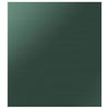Samsung BESPOKE Emerald Green Steel Dishwasher Panel - DW-T24PNAQG