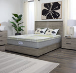 In Full Bloom - BeautySleep Max Drift Euro Top Medium Queen Mattress