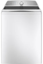 GE Profile White Top Load Washer (5.8 IEC cu. ft.)- PTW600BSRWS