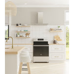 GE Stainless Steel Free-Standing Electric Convection Range with No-Preheat Air Fry (5.0 cu.ft) - JCB840STSS