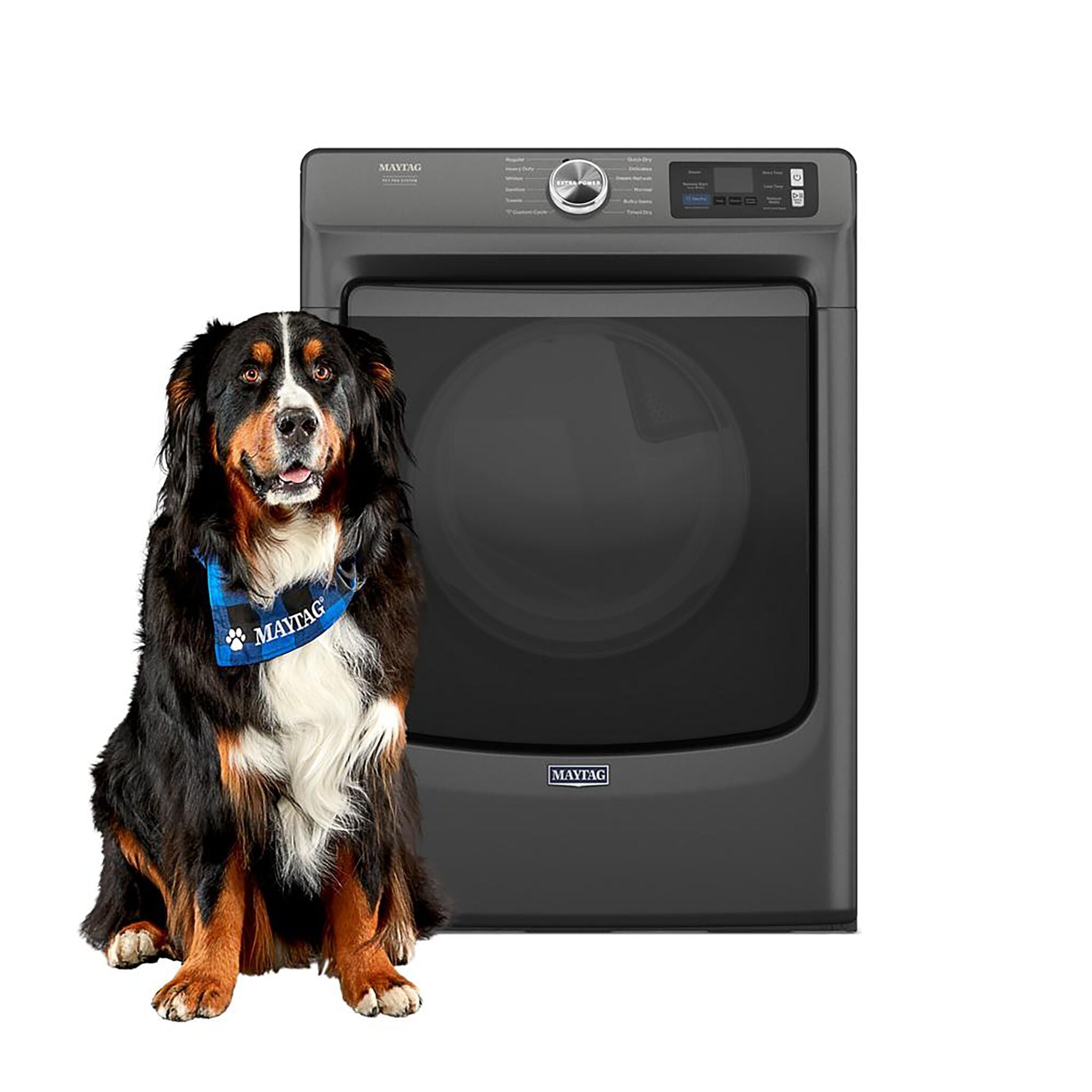 Maytag Volcano Black Gas Dryer with Pet Pro (7.4 Cu.Ft.) - MGD7020RU