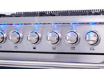 Thor Kitchen Stainless Steel Freestanding Gas Range (5.2 cu.ft.) - HRG3618U