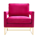 Ameshoff Velvet Accent Chair - Pink