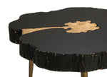 Taaibos Coffee Table - Black/Brass