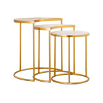 Bokkeveld End Table - Gold