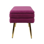 Zeo Velvet Storage Bench - Purple