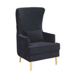 Killarney Velvet Accent Chair - Black