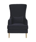 Killarney Velvet Accent Chair - Black