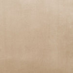 Eyrar Velvet Swivel Accent Chair - Beige